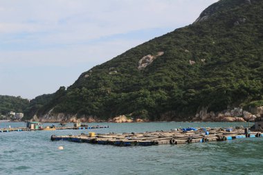 Geleneksel bir Pichic Bay Hong Kong balık köyü. 13 Ekim 2013