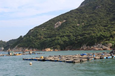 Geleneksel bir Pichic Bay Hong Kong balık köyü. 13 Ekim 2013