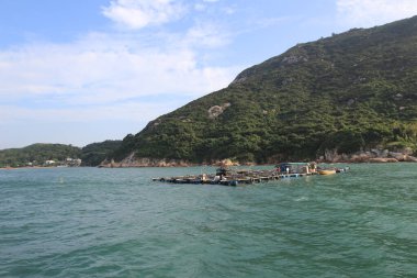 Geleneksel bir Pichic Bay Hong Kong balık köyü. 13 Ekim 2013
