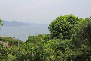 Yaprak resmi, doğa konsepti fotoğrafı.