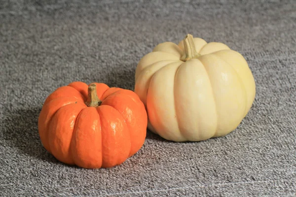 Autumn Harvest Bright Decorative Pumpkins Beautiful Pumpkin — Stock Photo, Image