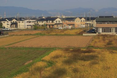 Japonya kırsalının manzarası. 30 Ekim 2013 Treni 'nde görünüm