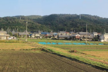 Japonya kırsalının manzarası. 30 Ekim 2013 Treni 'nde görünüm