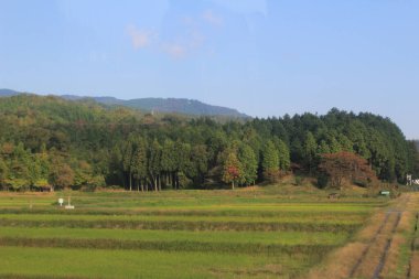 Japonya kırsalının manzarası. 30 Ekim 2013 Treni 'nde görünüm