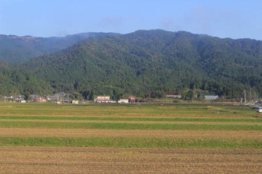 Japonya kırsalının manzarası. 30 Ekim 2013 Treni 'nde görünüm