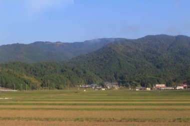 Japonya kırsalının manzarası. 30 Ekim 2013 Treni 'nde görünüm