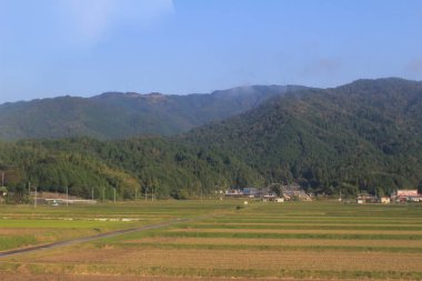 Japonya kırsalının manzarası. 30 Ekim 2013 Treni 'nde görünüm