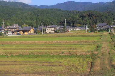 Japonya kırsalının manzarası. 30 Ekim 2013 Treni 'nde görünüm