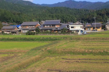 Japonya kırsalının manzarası. 30 Ekim 2013 Treni 'nde görünüm