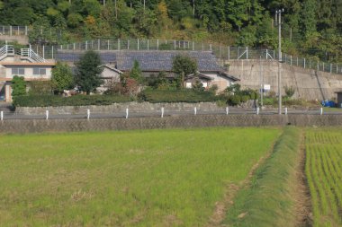 Japonya kırsalının manzarası. 30 Ekim 2013 Treni 'nde görünüm