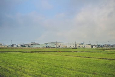 Japonya kırsalının manzarası. 30 Ekim 2013 Treni 'nde görünüm