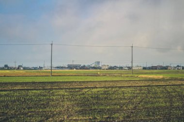 Japonya kırsalının manzarası. 30 Ekim 2013 Treni 'nde görünüm