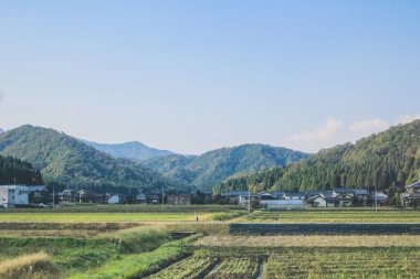Japonya kırsalının manzarası. 30 Ekim 2013 Treni 'nde görünüm