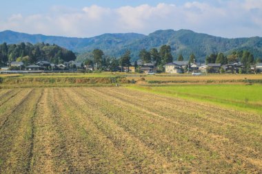 Japonya kırsalının manzarası. 30 Ekim 2013 Treni 'nde görünüm