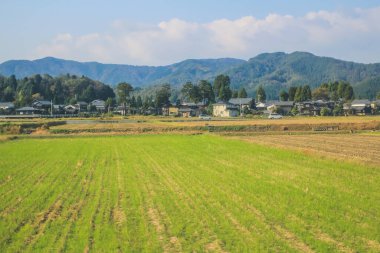 Japonya kırsalının manzarası. 30 Ekim 2013 Treni 'nde görünüm