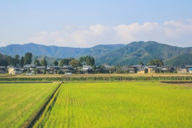 Japonya kırsalının manzarası. 30 Ekim 2013 Treni 'nde görünüm