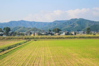 Japonya kırsalının manzarası. 30 Ekim 2013 Treni 'nde görünüm
