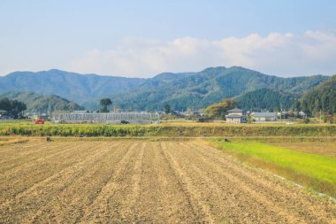 Japonya kırsalının manzarası. 30 Ekim 2013 Treni 'nde görünüm