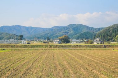 Japonya kırsalının manzarası. 30 Ekim 2013 Treni 'nde görünüm