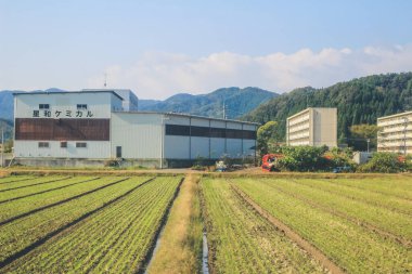 Japonya kırsalının manzarası. 30 Ekim 2013 Treni 'nde görünüm