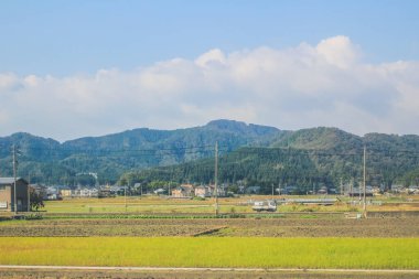 Japonya kırsalının manzarası. 30 Ekim 2013 Treni 'nde görünüm