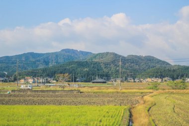 Japonya kırsalının manzarası. 30 Ekim 2013 Treni 'nde görünüm