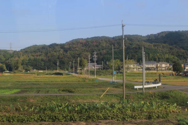 Paisagem Campo Japão Vista Comboio Out 2013 — Fotografia de Stock