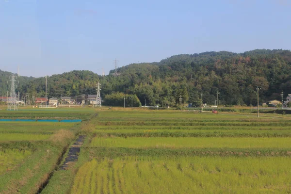 Het Landschap Van Het Platteland Japan Uitzicht Trein Okt 2013 — Stockfoto