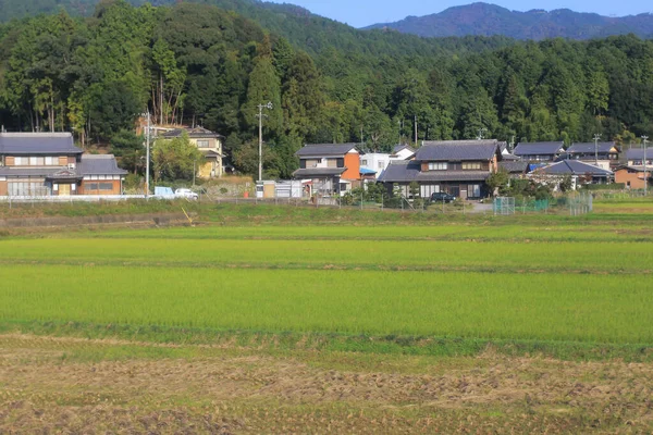 Táj Vidék Japán Nézet Vonat Okt 2013 — Stock Fotó