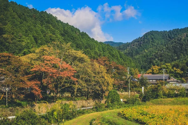 Lanskap Pedesaan Jepang Lihat Train Oct 2013 — Stok Foto