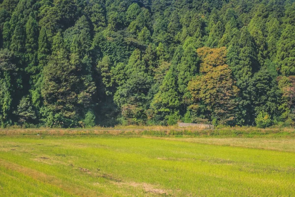 stock image the landscape of countryside, Japan. view at Train 30 Oct 2013