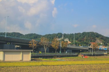Japonya kırsalının manzarası. 30 Ekim 2013 Treni 'nde görünüm