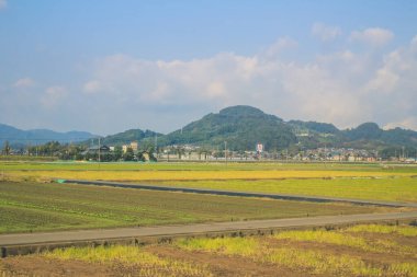 Japonya kırsalının manzarası. 30 Ekim 2013 Treni 'nde görünüm