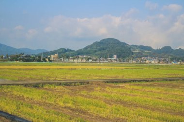 Japonya kırsalının manzarası. 30 Ekim 2013 Treni 'nde görünüm