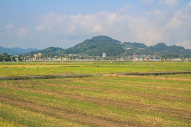 Japonya kırsalının manzarası. 30 Ekim 2013 Treni 'nde görünüm