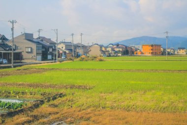 Japonya kırsalının manzarası. 30 Ekim 2013 Treni 'nde görünüm