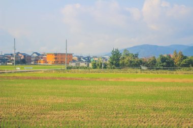 Japonya kırsalının manzarası. 30 Ekim 2013 Treni 'nde görünüm