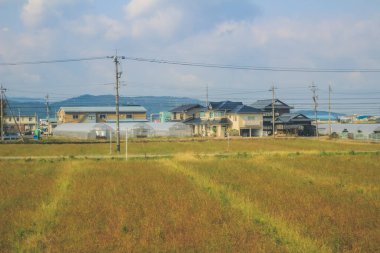Japonya kırsalının manzarası. 30 Ekim 2013 Treni 'nde görünüm
