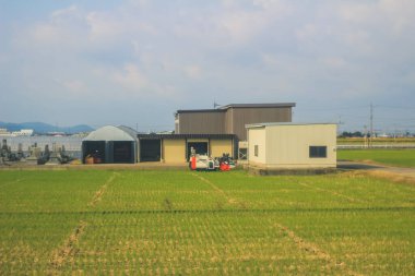 Japonya kırsalının manzarası. 30 Ekim 2013 Treni 'nde görünüm