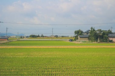 Japonya kırsalının manzarası. 30 Ekim 2013 Treni 'nde görünüm