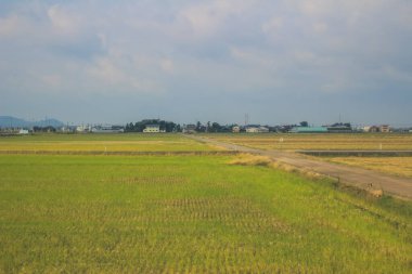 Japonya kırsalının manzarası. 30 Ekim 2013 Treni 'nde görünüm