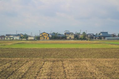 Japonya kırsalının manzarası. 30 Ekim 2013 Treni 'nde görünüm
