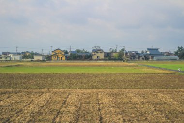 Japonya kırsalının manzarası. 30 Ekim 2013 Treni 'nde görünüm