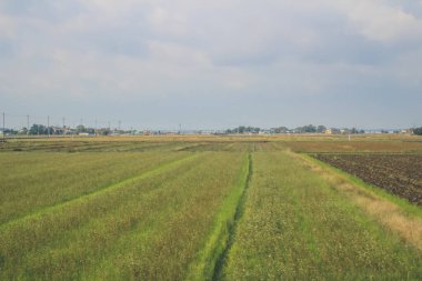 Japonya kırsalının manzarası. 30 Ekim 2013 Treni 'nde görünüm