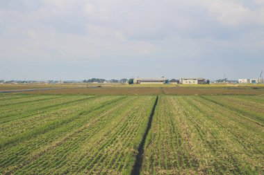 Japonya kırsalının manzarası. 30 Ekim 2013 Treni 'nde görünüm