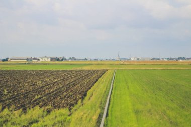 Japonya kırsalının manzarası. 30 Ekim 2013 Treni 'nde görünüm