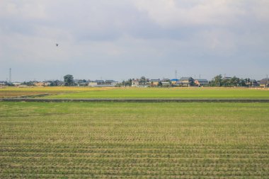 Japonya kırsalının manzarası. 30 Ekim 2013 Treni 'nde görünüm