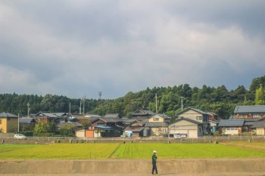 Japonya kırsalının manzarası. 30 Ekim 2013 Treni 'nde görünüm