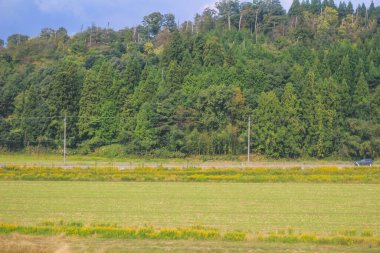 Japonya kırsalının manzarası. 30 Ekim 2013 Treni 'nde görünüm