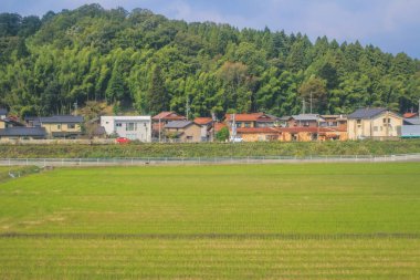 Japonya kırsalının manzarası. 30 Ekim 2013 Treni 'nde görünüm